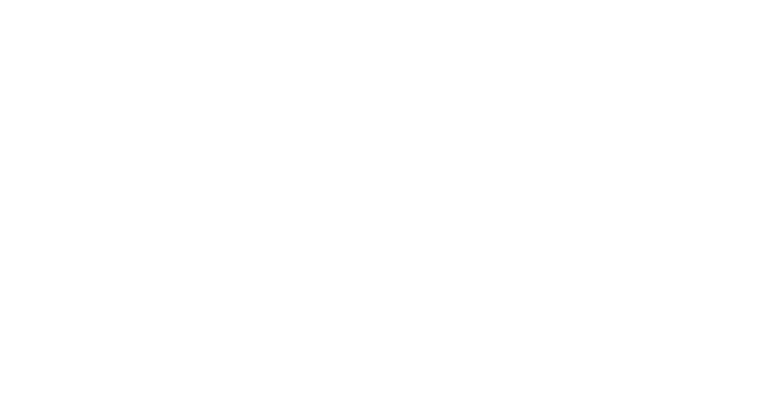 Vip Travel Chile