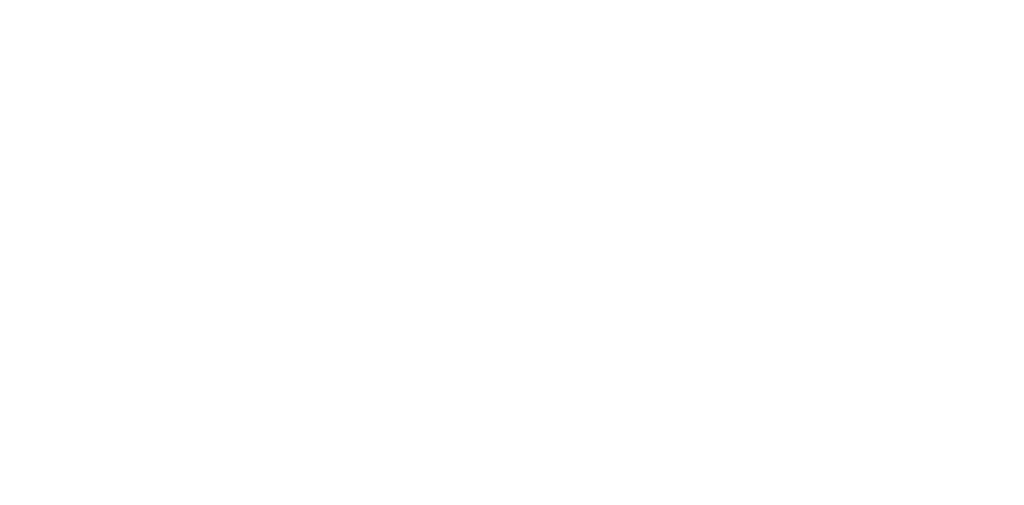 VipTravelChile.com